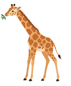 Giraffe illustration