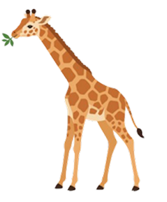 Giraffe illustration